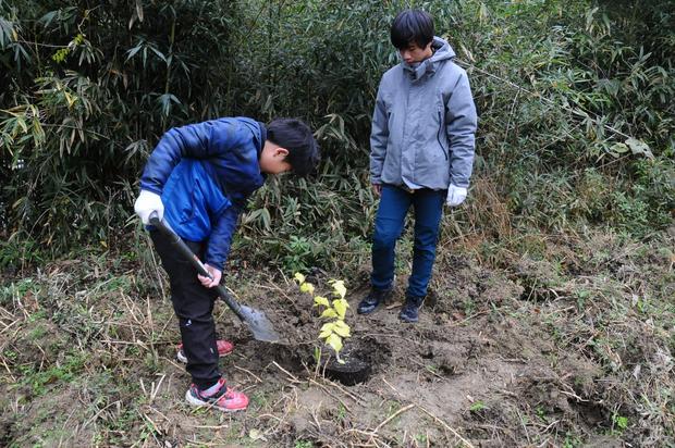 セイブジャパン2024-2025エノキの植樹.JPG