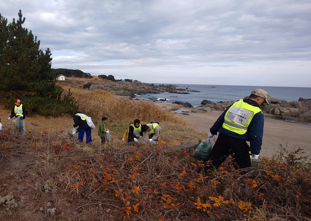 実生松駆除活動の様子
