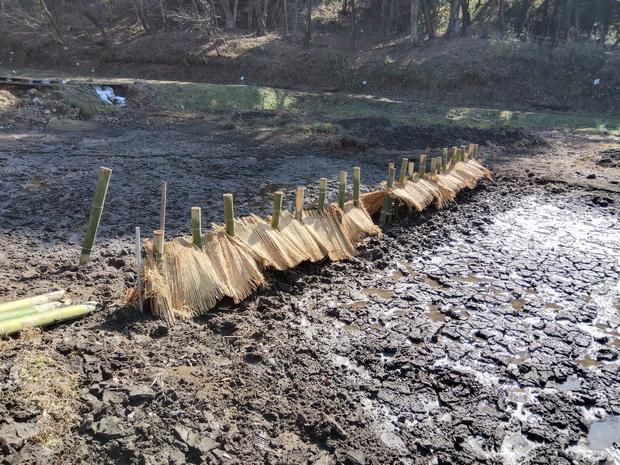 造成中の湿地帯