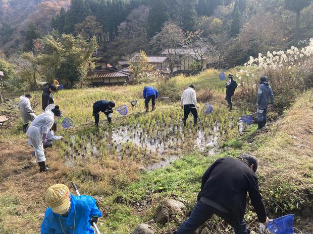 ④棚田に出て生き物を探します.jpg