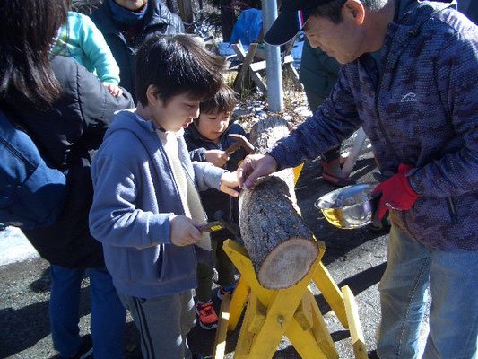 原木きのこの植菌は子どもも大人も楽しめる！