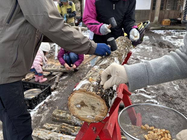◎ネイチャートレッキングwithなめこ植菌体験 (40).jpg