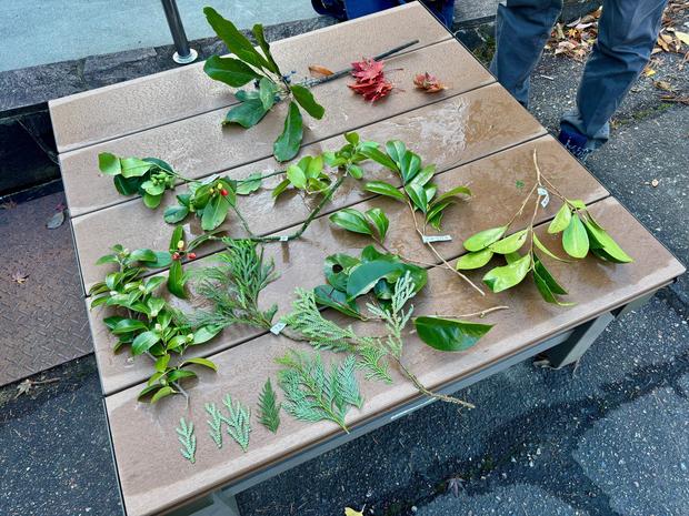 IMG_6687.jpgのサムネイル画像