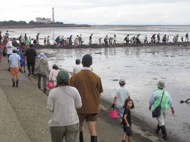 1005秋の干潟観察会３.jpg