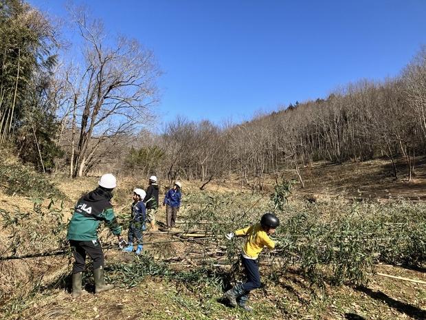 頑張って竹を引っ張り出している