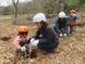サシバの里山保全活動 　春の里山で森づくり ～クヌギ植樹・ ドングリ種まき体験～